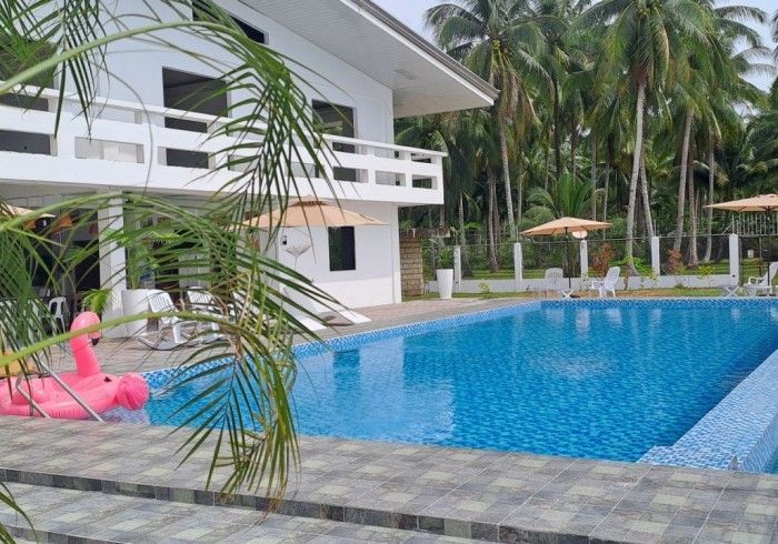 White building next to a blue swimming pool, pink flamingo float, palm trees.