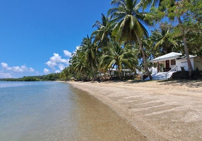 Sandy beach with palm trees and white buildings against a clear blue sky.