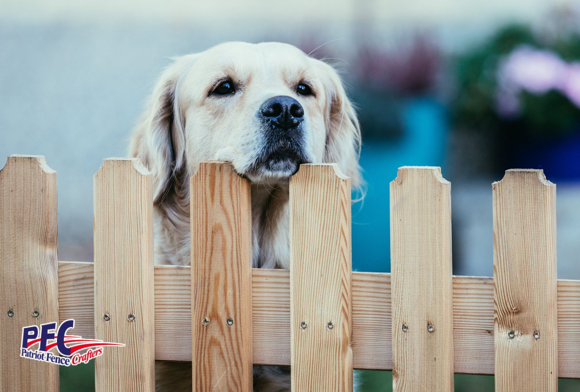 How Many Gates Should Residential Fence Have?