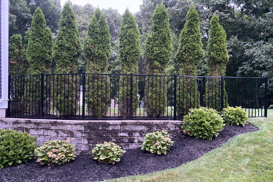 A black fence surrounds a lush green yard with trees and bushes.