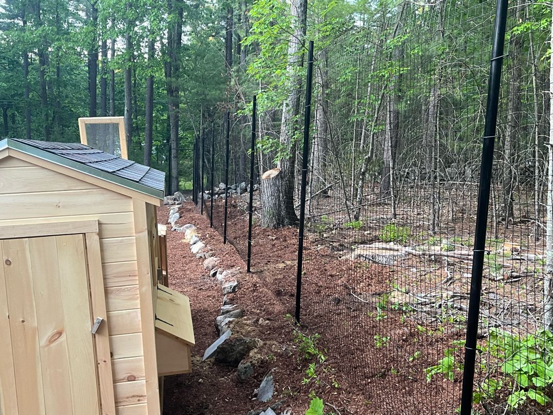 A wooden shed is sitting in the middle of a forest.