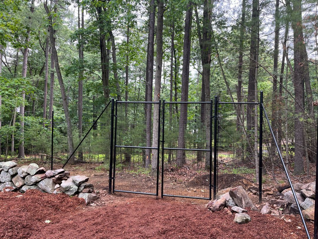 A black metal gate is in the middle of a forest.