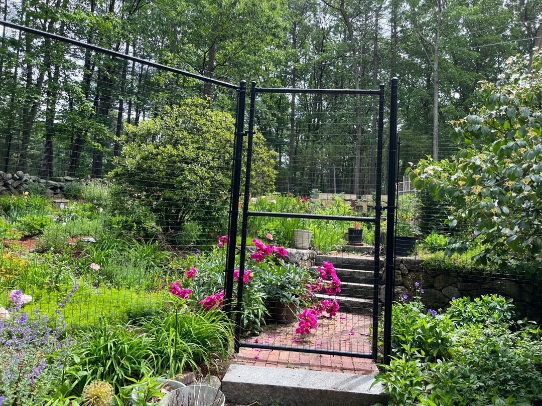 There is a gate in the middle of a garden with flowers.