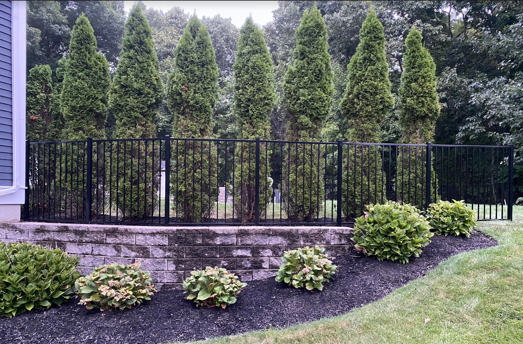 A black fence is surrounded by trees and bushes in a yard.