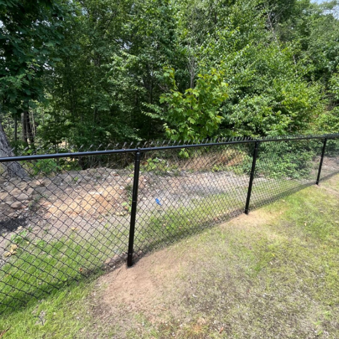 A chain link fence is surrounded by trees and grass in a yard.