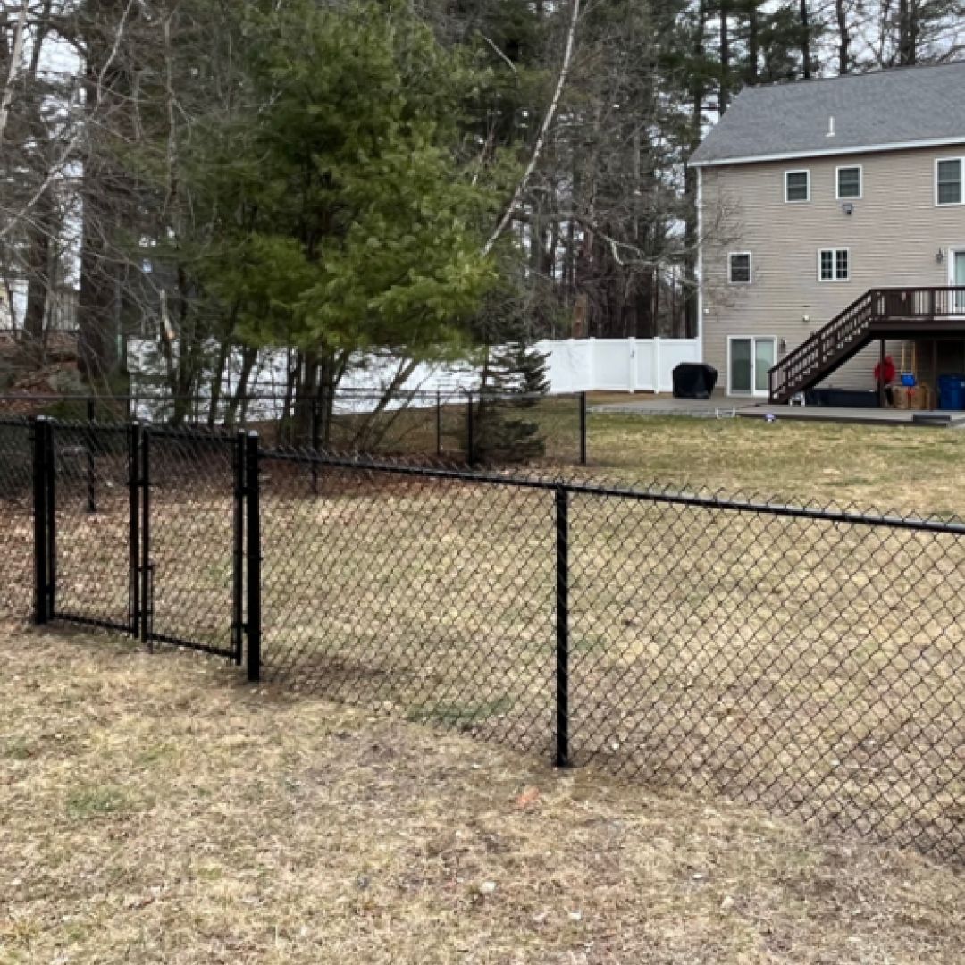 A chain link fence surrounds a yard with a house in the background.