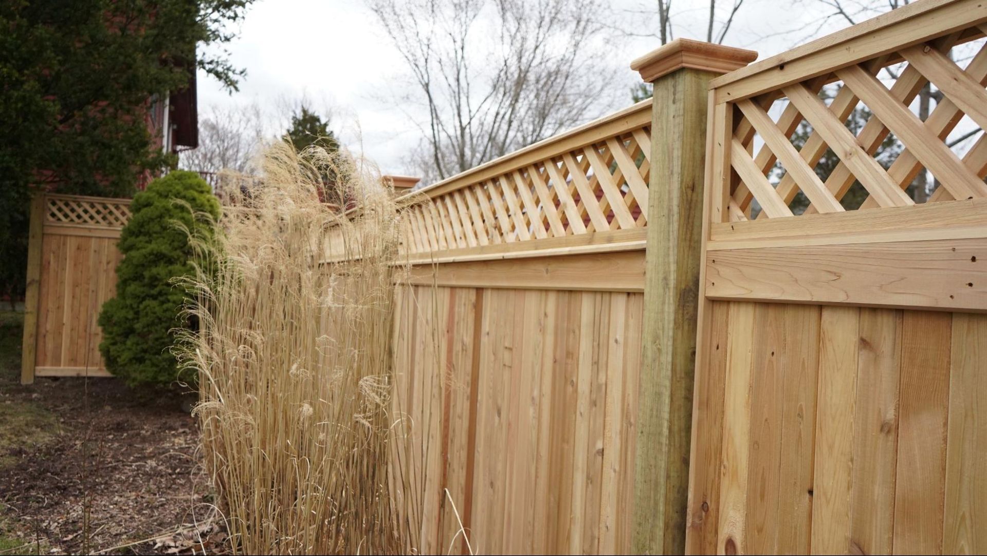Wooden fence with lattice top, tall dried grass in front.