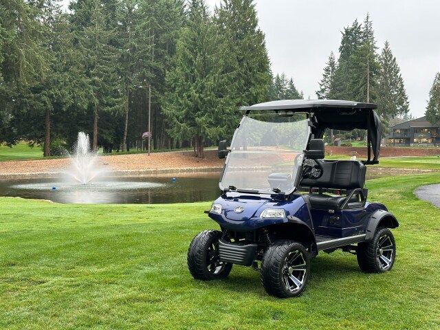 Dark blue golf cart on green grass, near a pond with a fountain, with trees in the background.