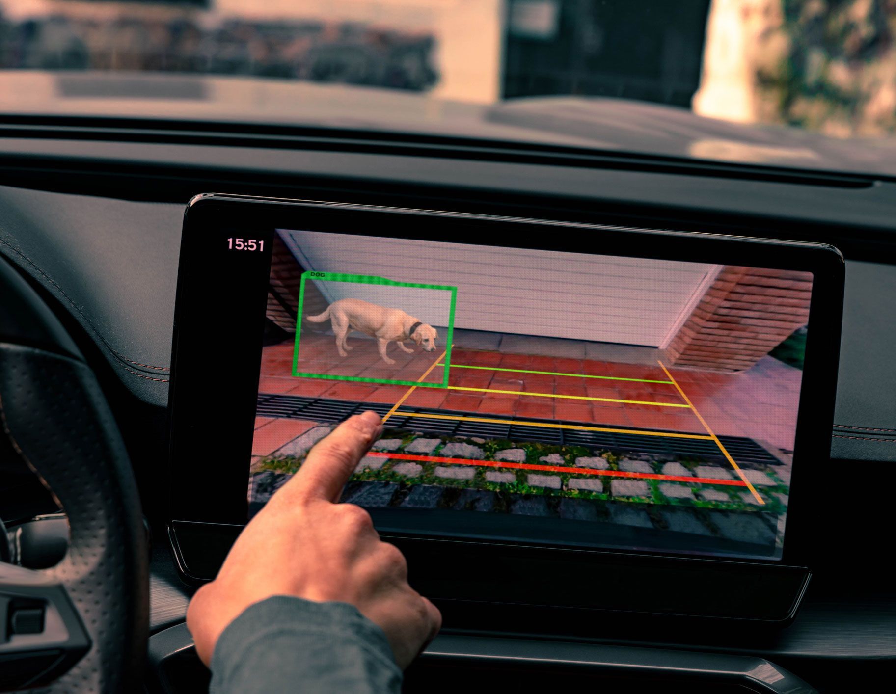 A person is pointing at a screen with a dog on it