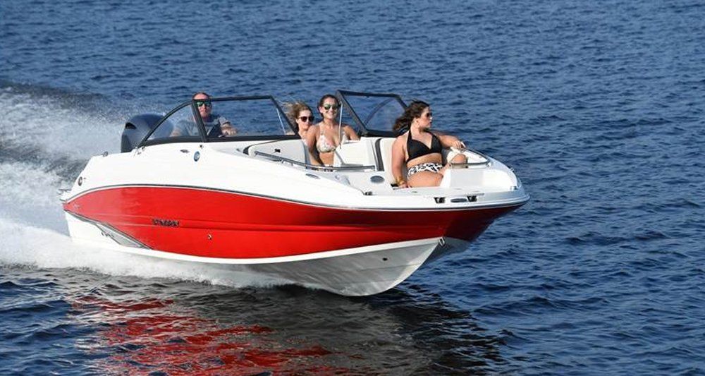 2020 Stingray Boat 201DS — Mahopac, NY — Mahopac Marina