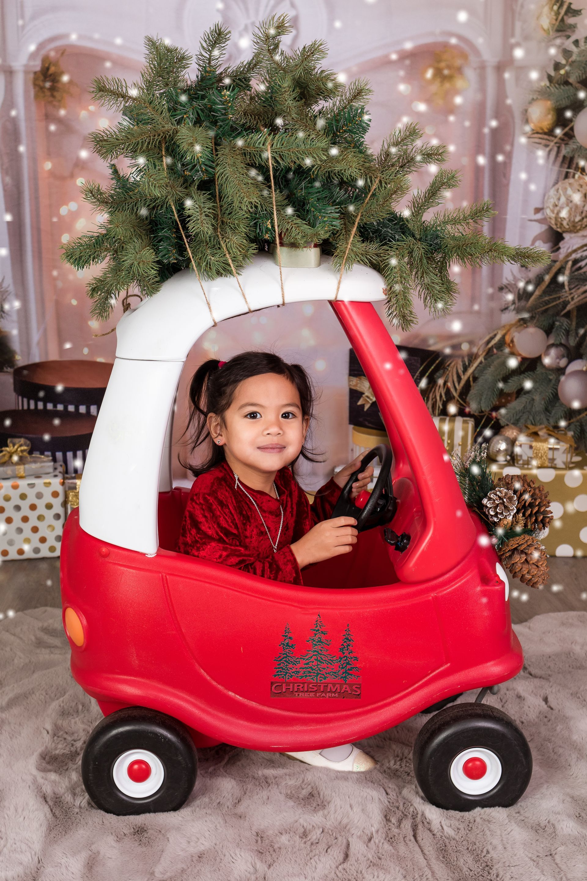 Mini Sessions - Crystal Justine Photography