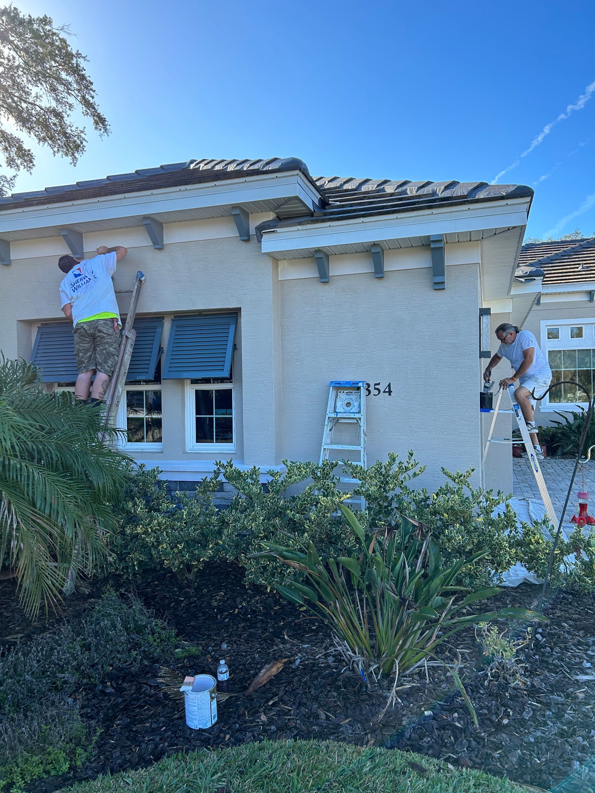 house painting services