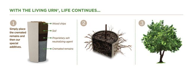 Living Urn | Leaf Cremation