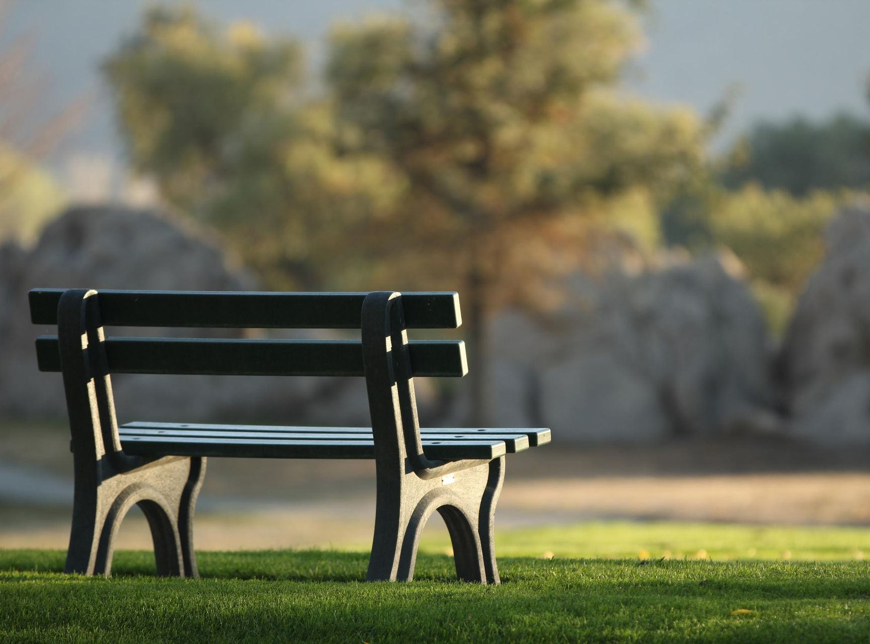 A bunch of pink roses with green leaves on a white surface.
