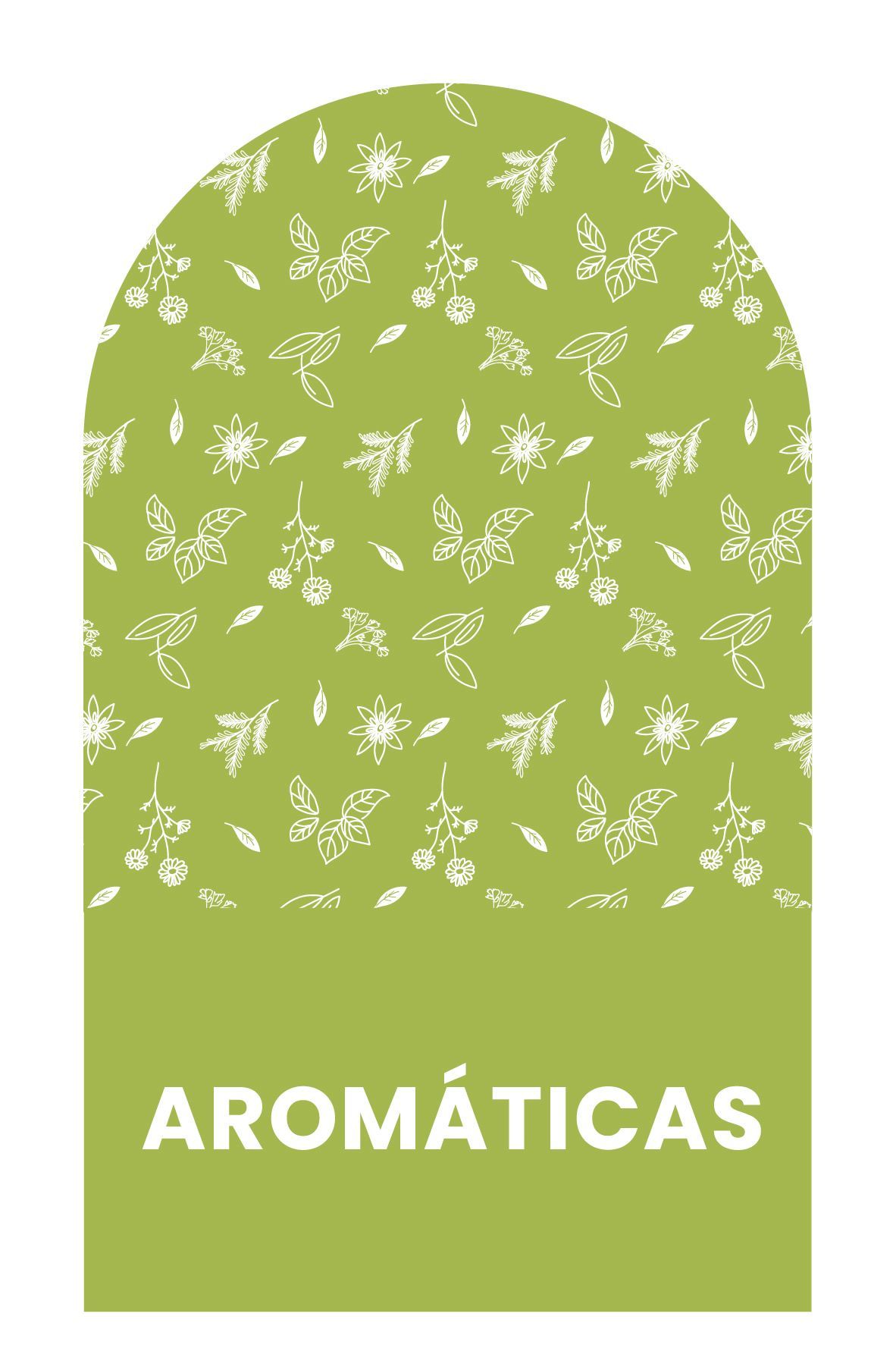 Etiqueta arqueada de color verde con texto blanco “AROMÁTICAS” debajo de un fondo verde con ilustraciones botánicas blancas.