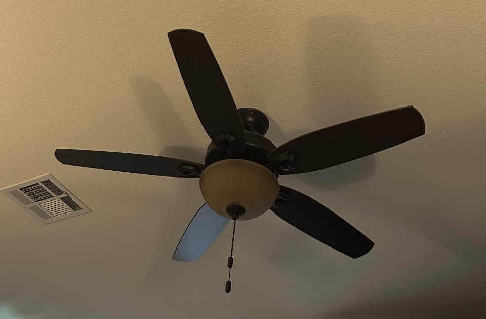 Ceiling fan with five dark brown blades and a light fixture.