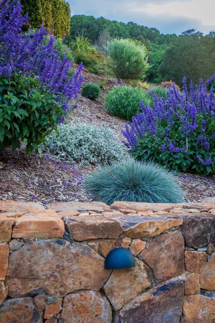 winter friendly shrubs and flowers against stonemasonry retaining wall