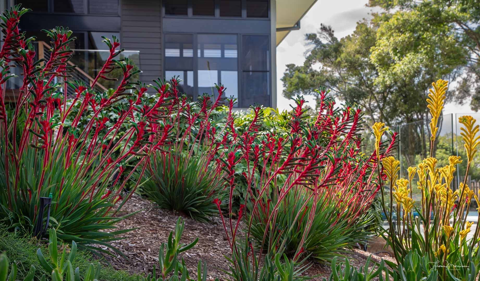 Gondwana Landscaping and Stone - Byorn Bay Landscapers