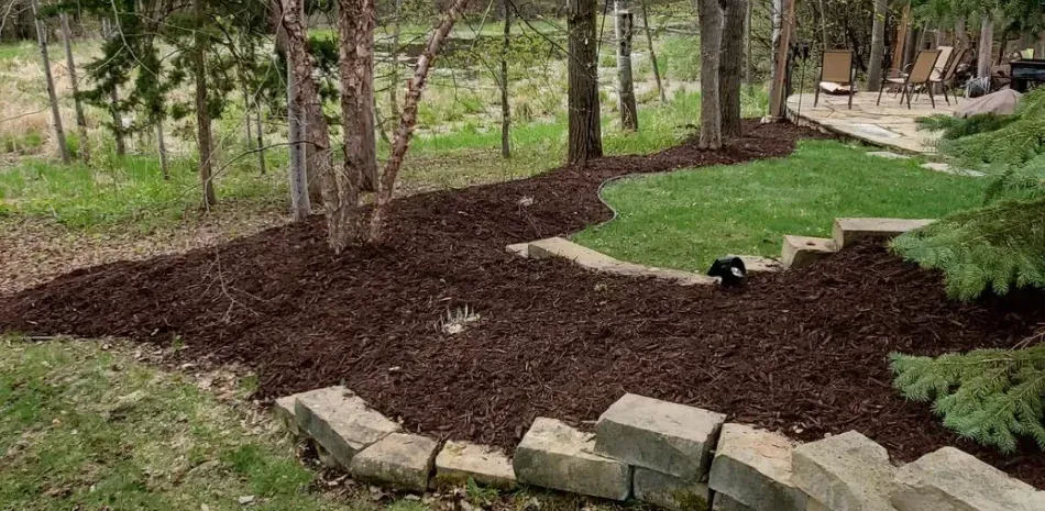 A landscaped backyard with trees, mulch, a patio, and a green lawn.