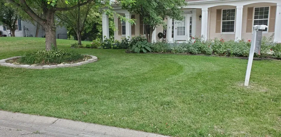 Green lawn in front of a house with trees, flowers, and a mailbox.