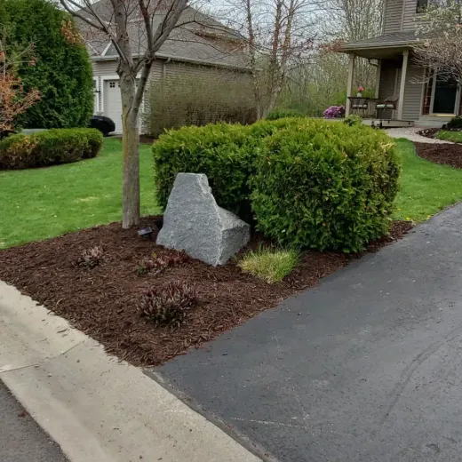 Landscaped yard with bushes, a rock, mulch, and a tree next to an asphalt driveway.