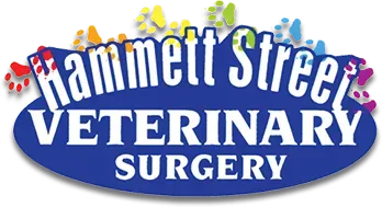 Hammett Street Veterinary Surgery: Vet Clinic in Townsville