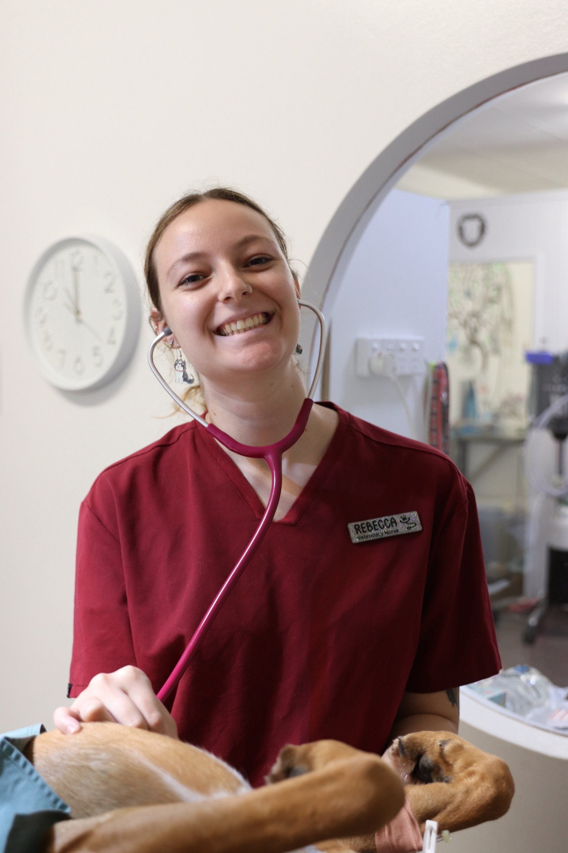 Vet Listening To Dog's Heart