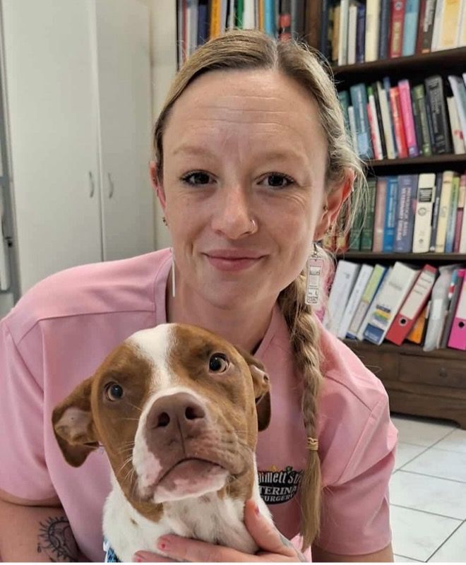 receptionist at hammett street vets