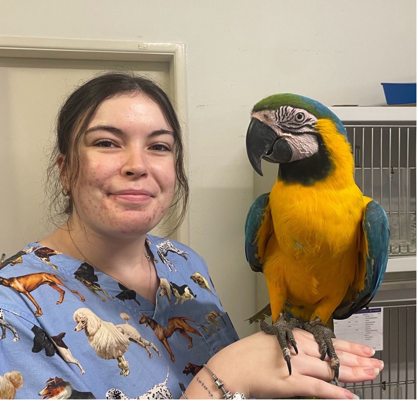 Taylah Barlow - Veterinary Nurse