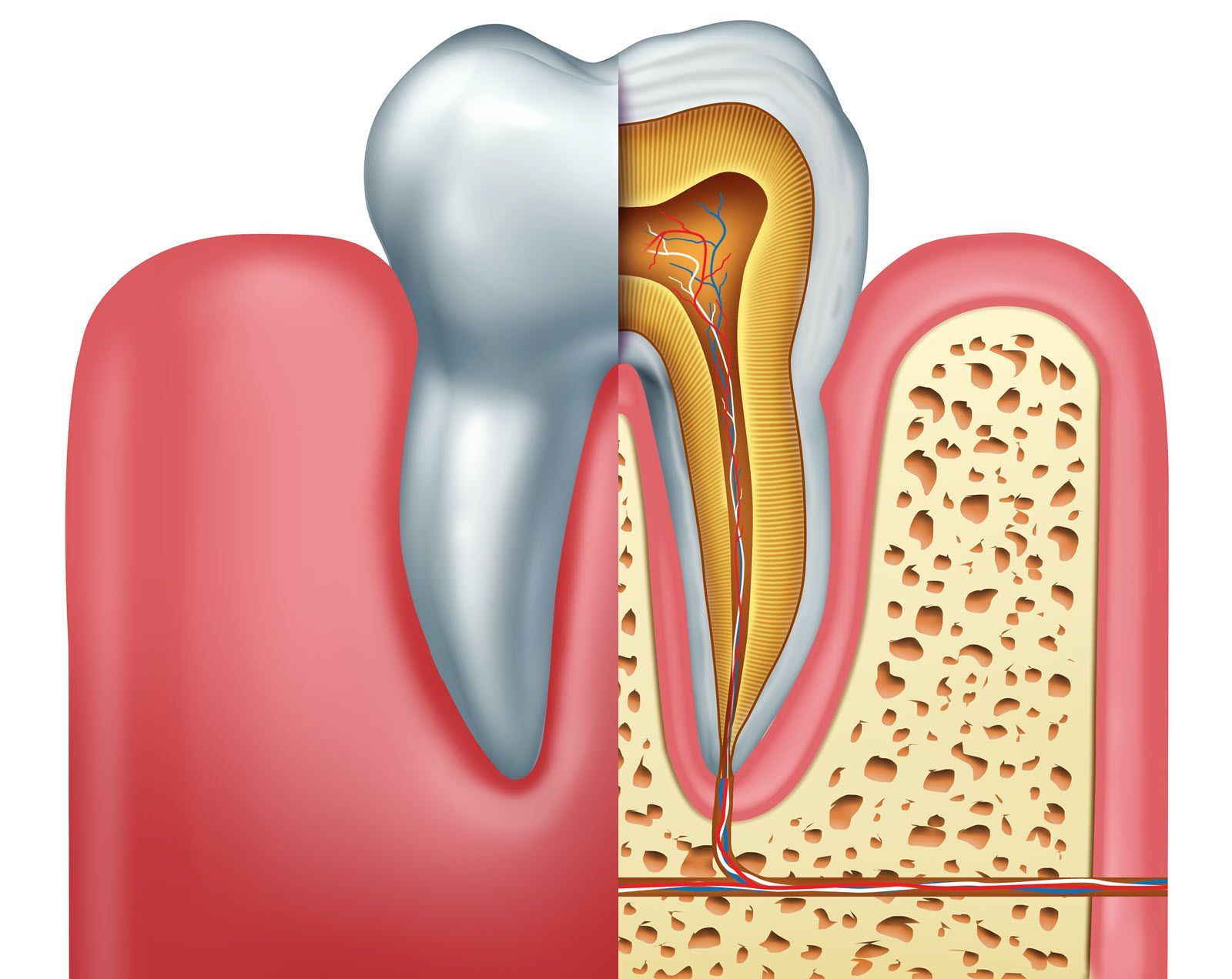 What is a Root Canal Treatment Artin dental Toronto