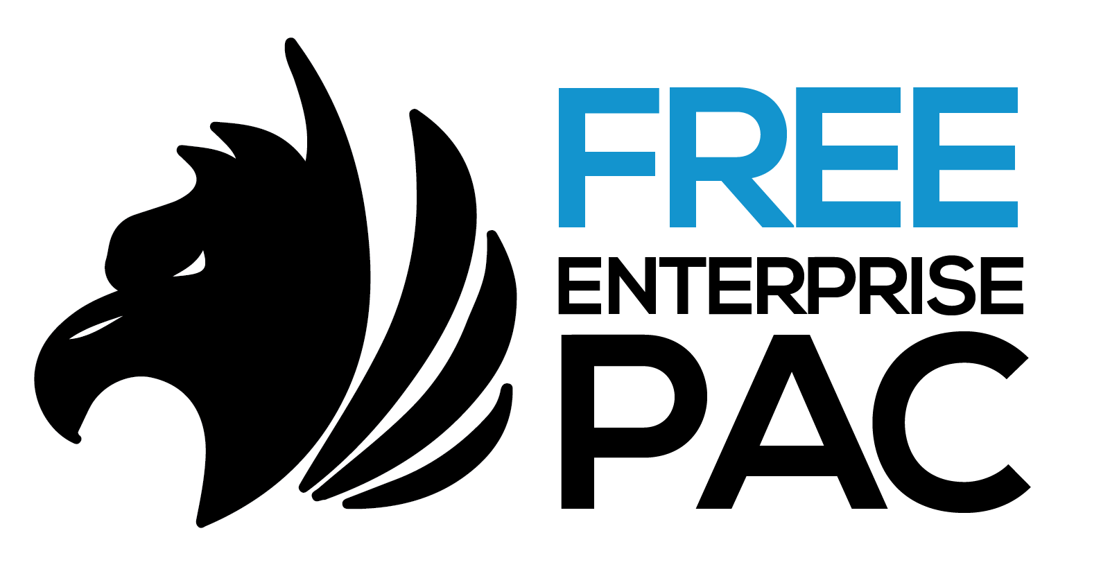 Logo featuring a black eagle head next to the blue text 