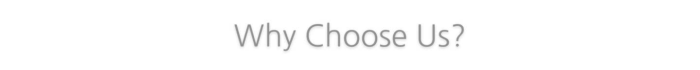 “Why Choose Us?” section heading in light gray text on a white background
