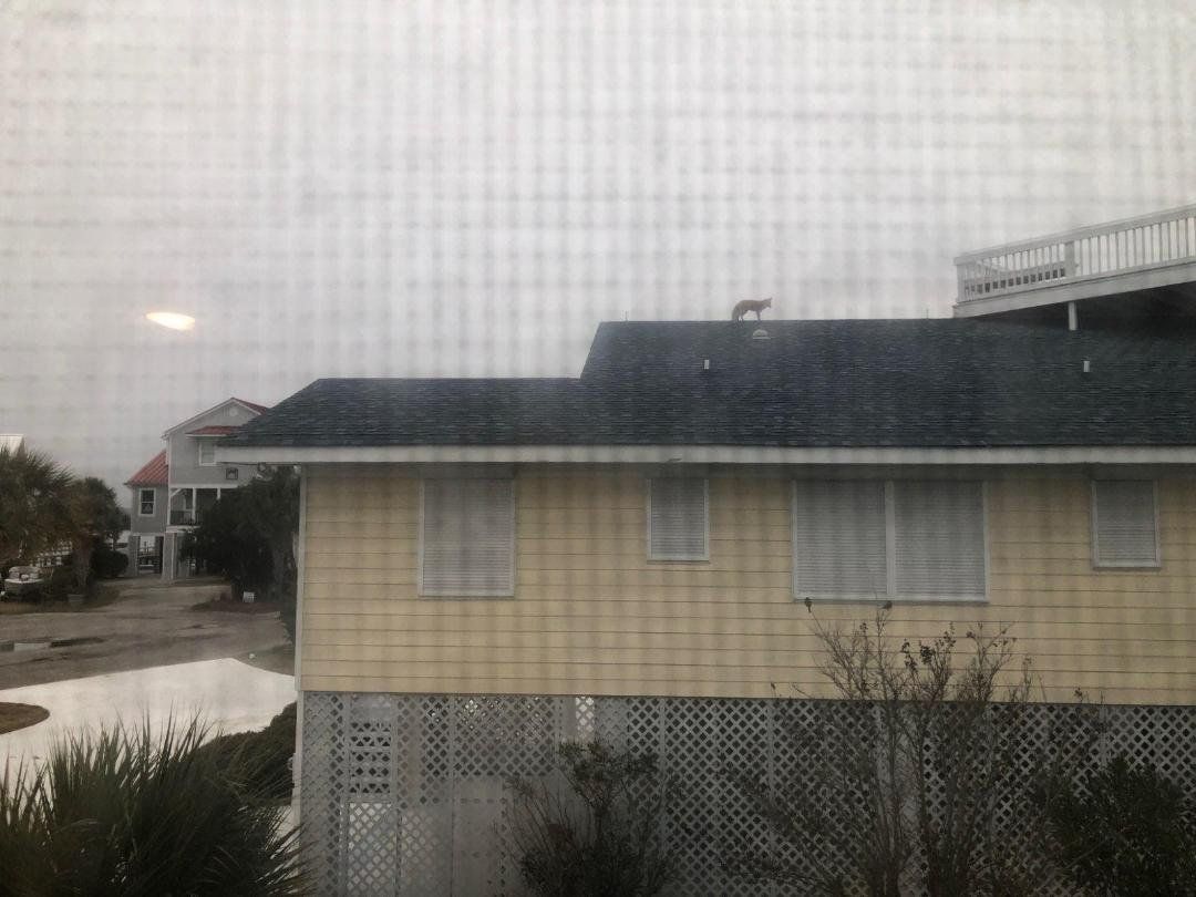 A yellow house with a blue roof is sitting next to a body of water.