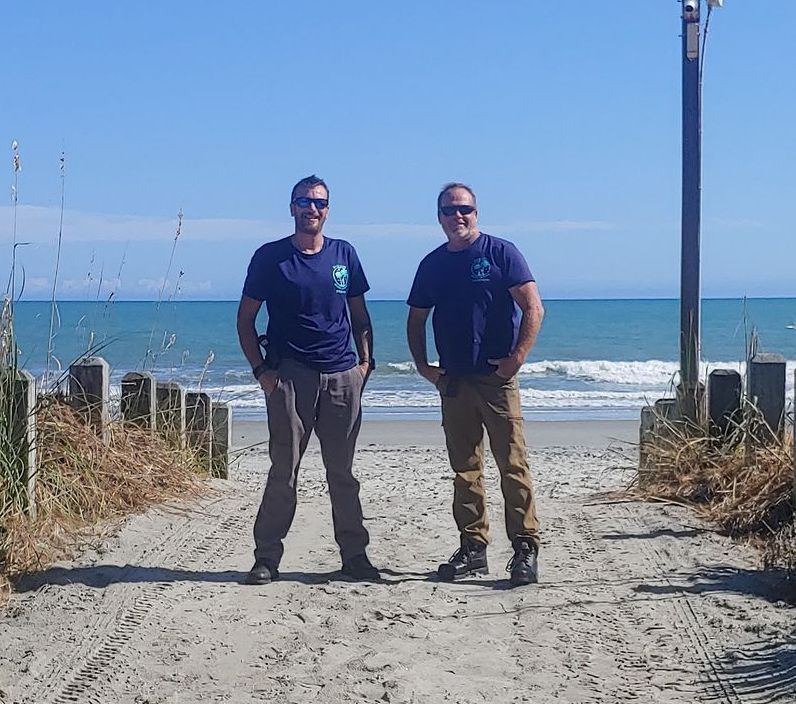 A chipmunk is sitting on top of a tree stump.