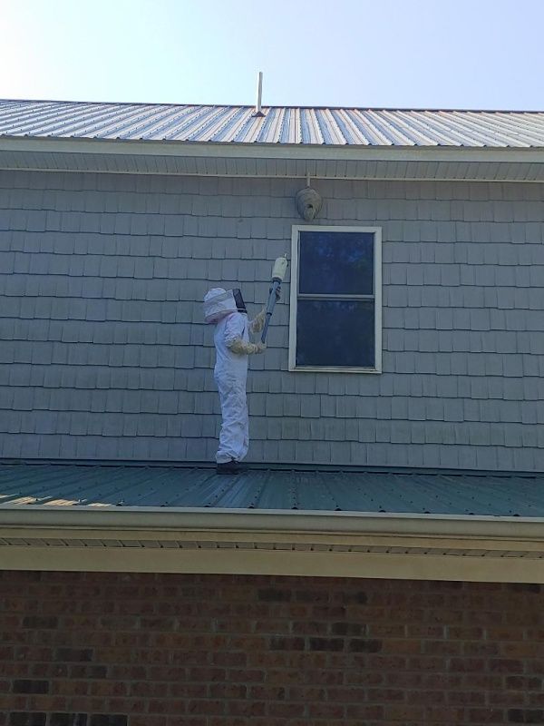 A man in a bee suit is standing on the roof of a house.