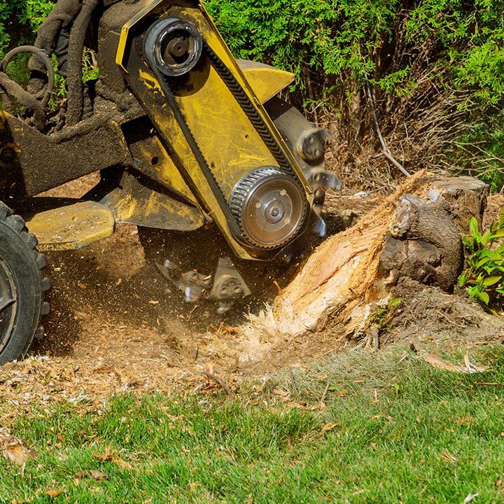 Removing Tree Stump — Moulton, AL — Streamline Cutting LLC
