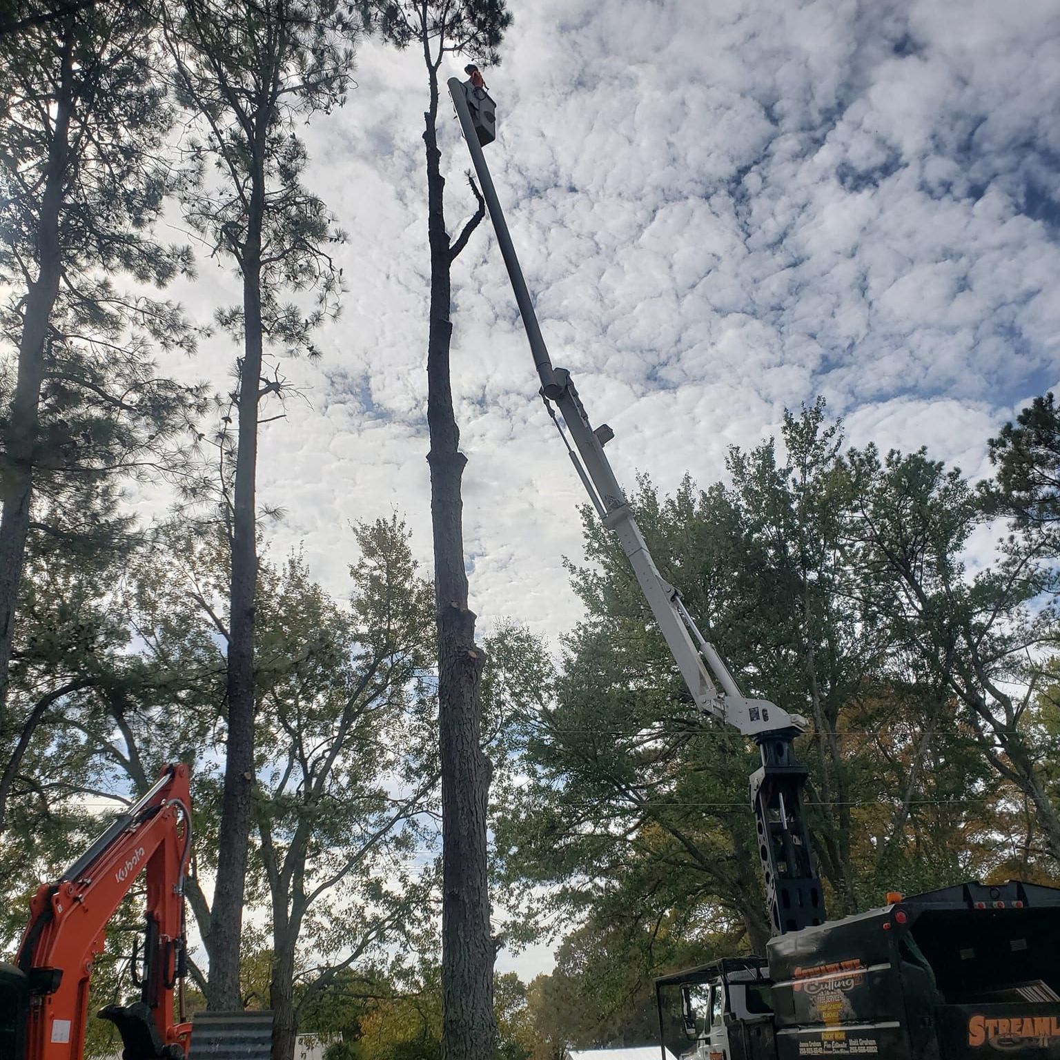 Man Removing Tree — Moulton, AL — Streamline Cutting LLC