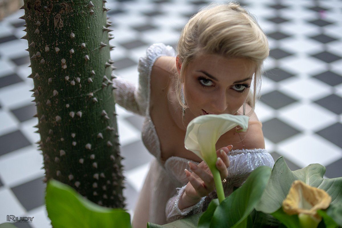 שמלות כלה באר שבע