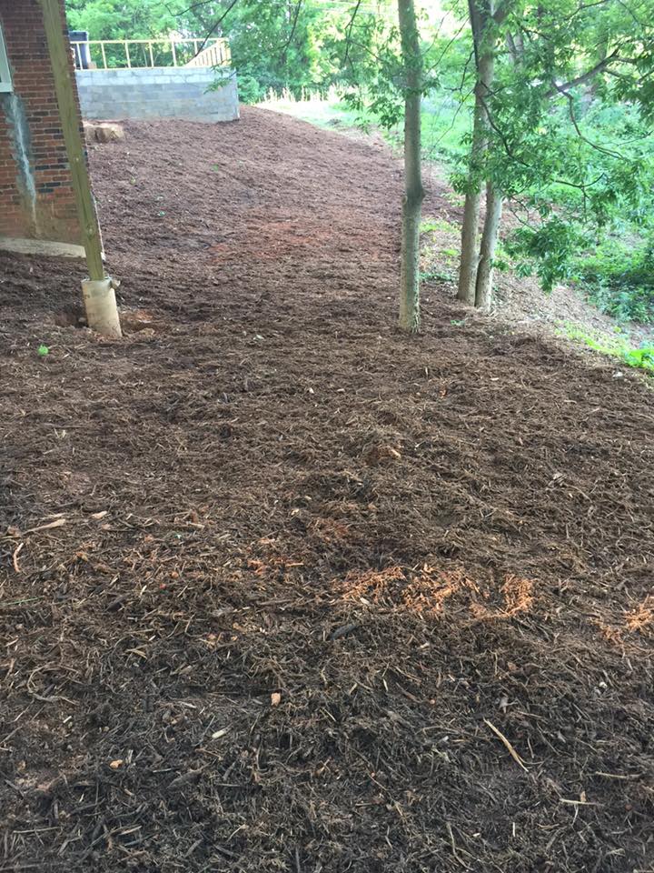 R. U. Needing Service 28901112