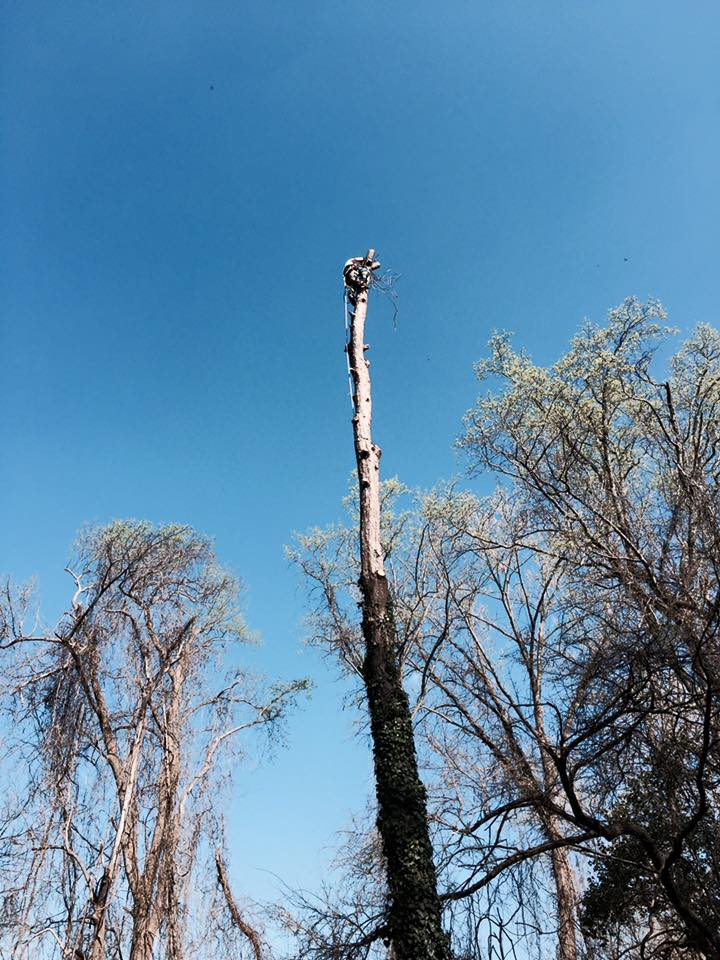 R. U. Needing Service 1fg