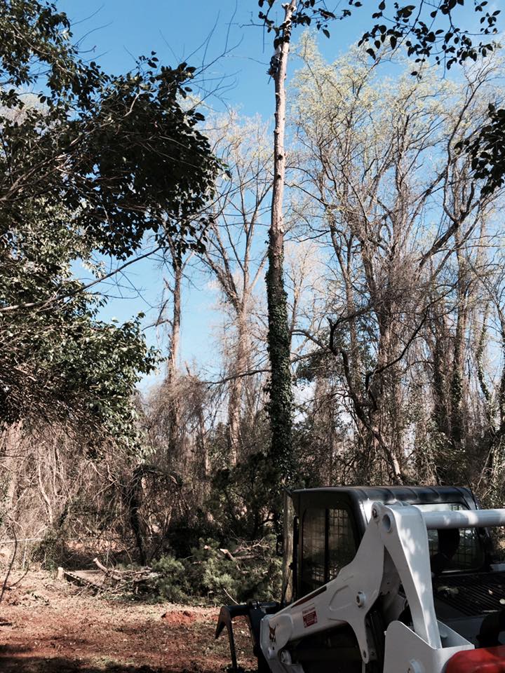 R. U. Needing Service 1abc