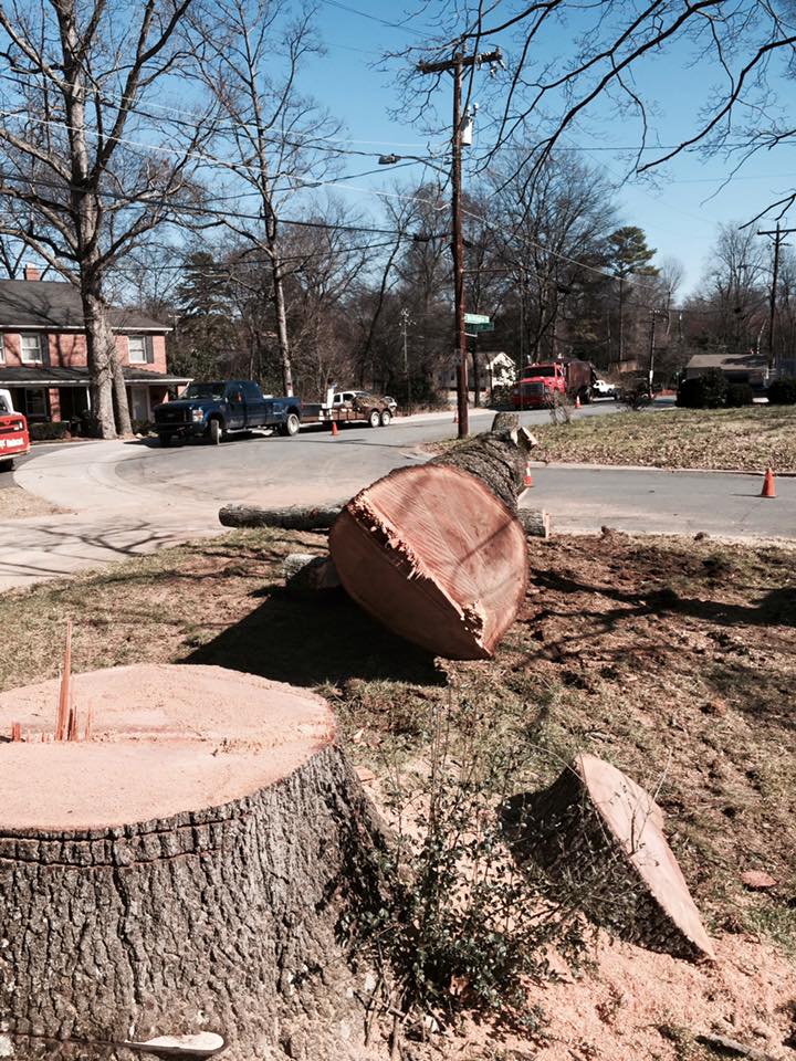 R. U. Needing Service 3abc