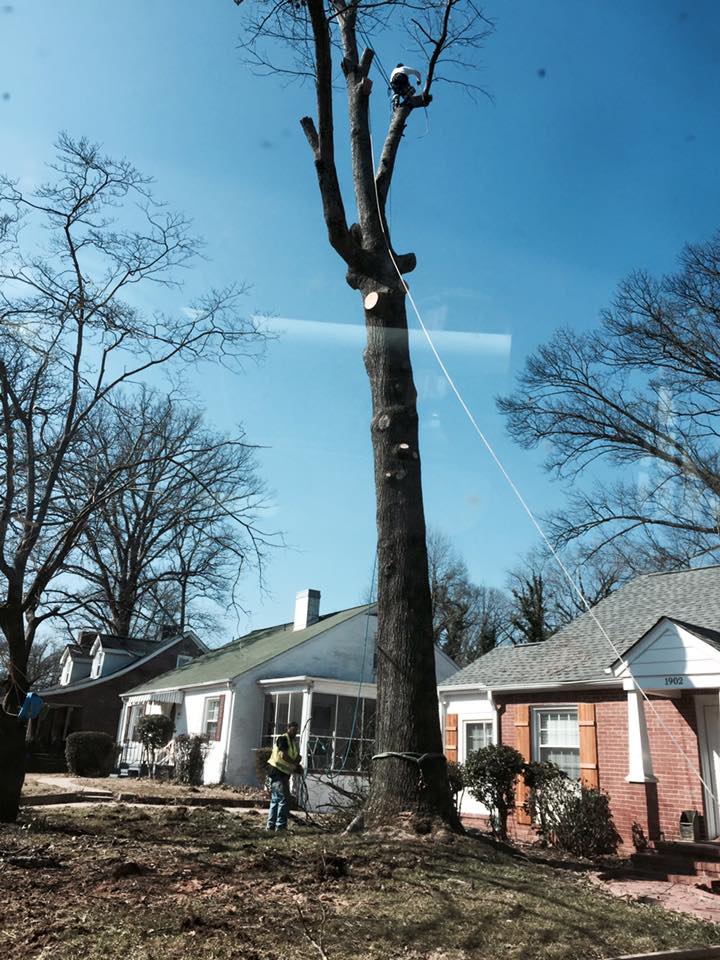 R. U. Needing Service 3ab