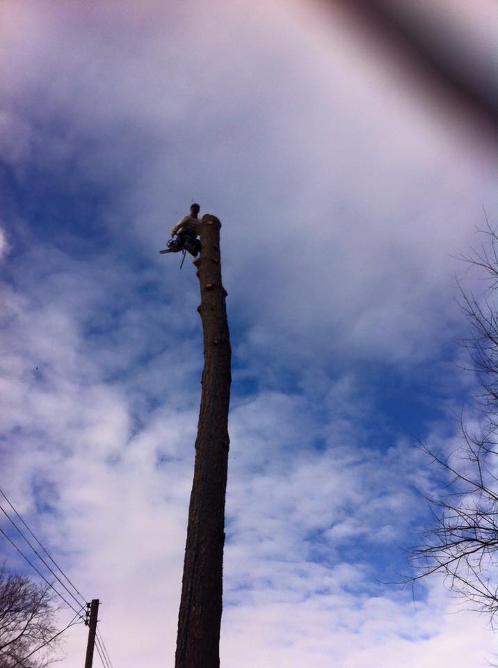 R. U. Needing Service 4abcdefghikl