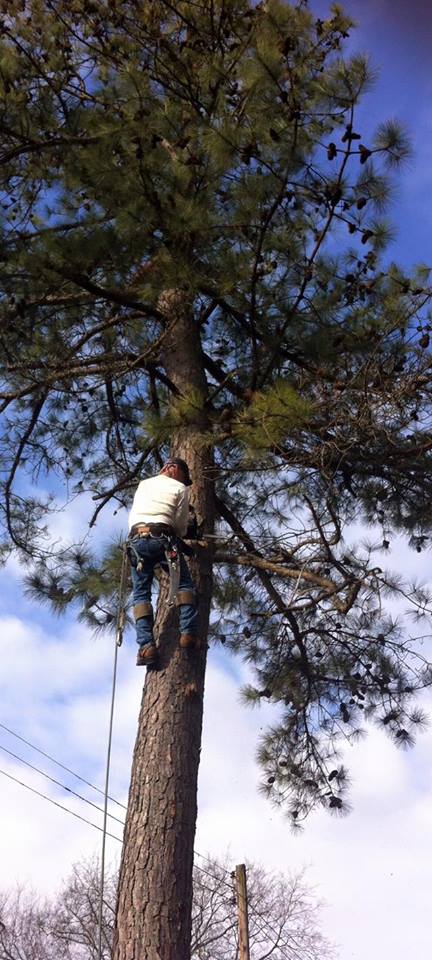 R. U. Needing Service 4abcdefgh