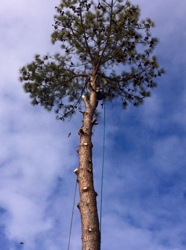 R. U. Needing Service 4abcdefg