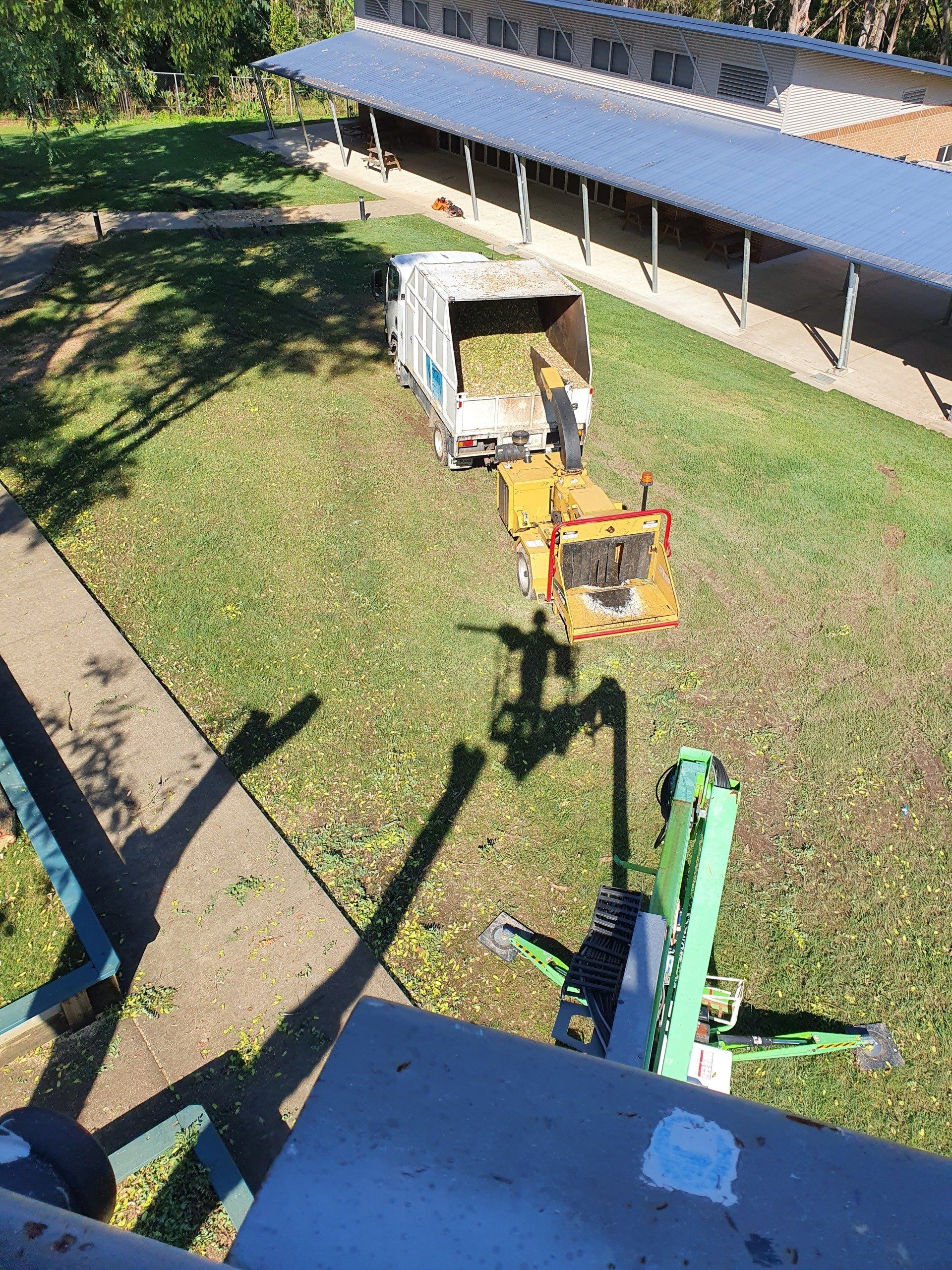 Arborist Trims A Tree — Korora NSW — Limb-it-Less