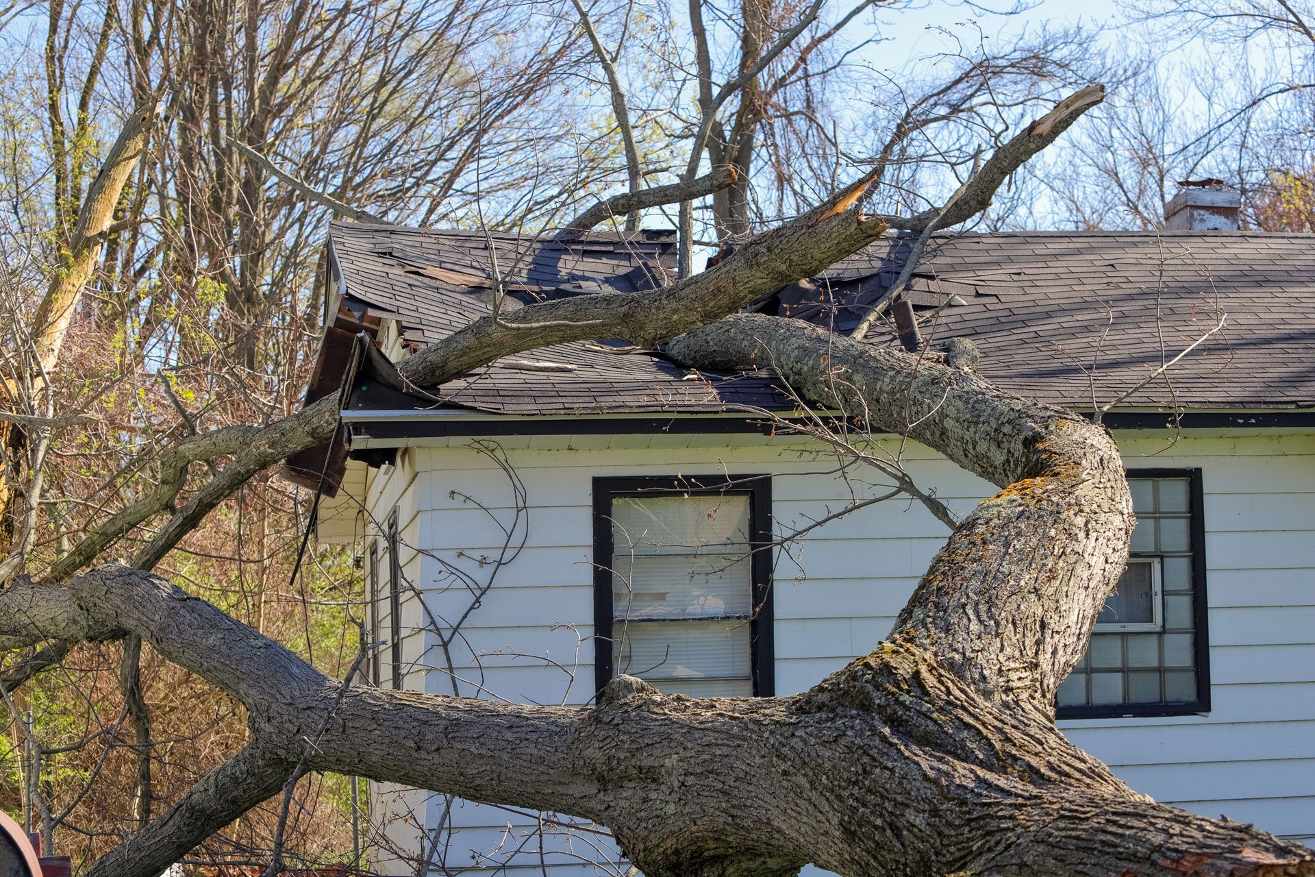 A large tree branch has fallen on the roof of a white house, causing damage.