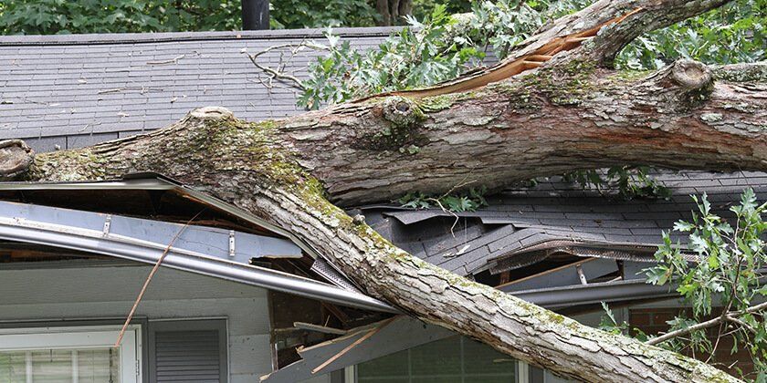 Tree Wrecked The Roof — Haslet, TX — Super Roofman