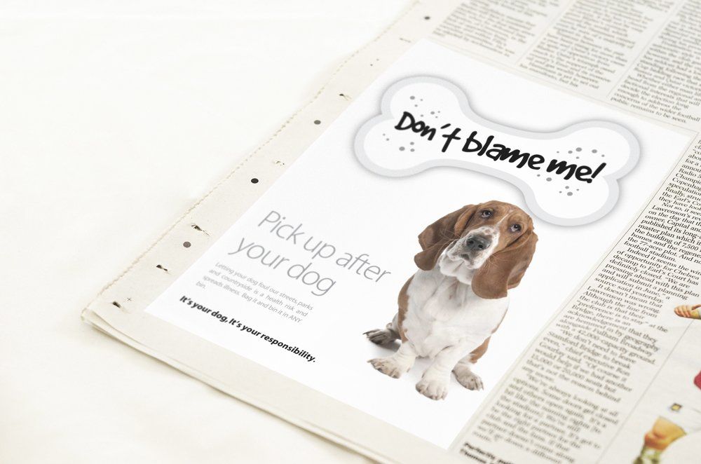 Advertisement: Basset hound with